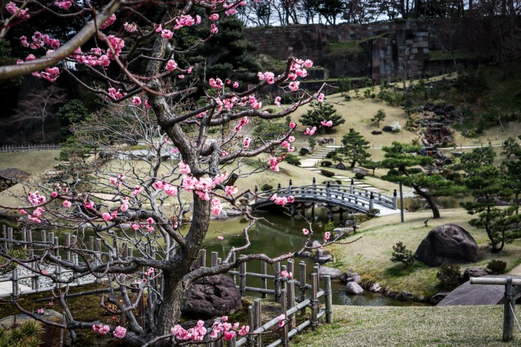 perfect-spring-in-japan-3