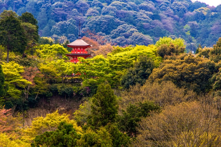 perfect-spring-in-japan-4