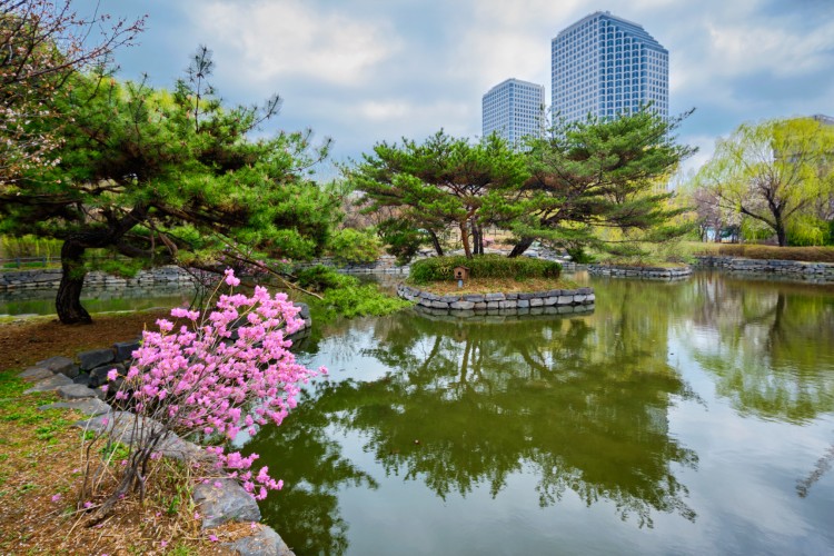 perfect-spring-in-japan-6