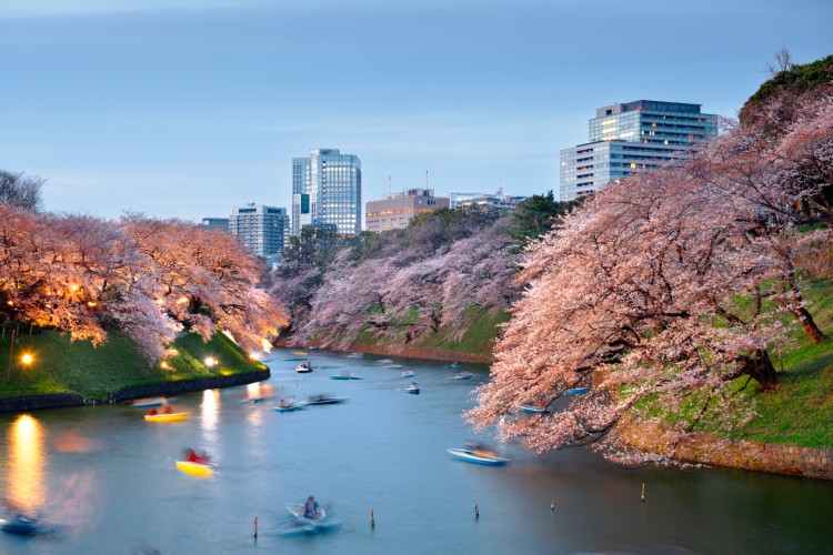 perfect-spring-in-japan-1