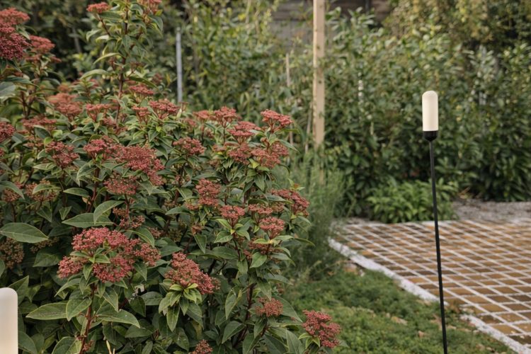 sensory-suite-privatni-vrt-wellness-sauna-jacuzzi-qu-osvetljenje-brillo-magritte-dizajn-vrta-15