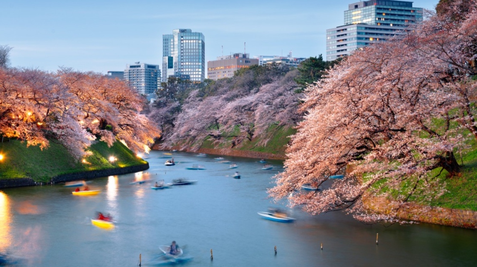 Perfect Spring in Japan