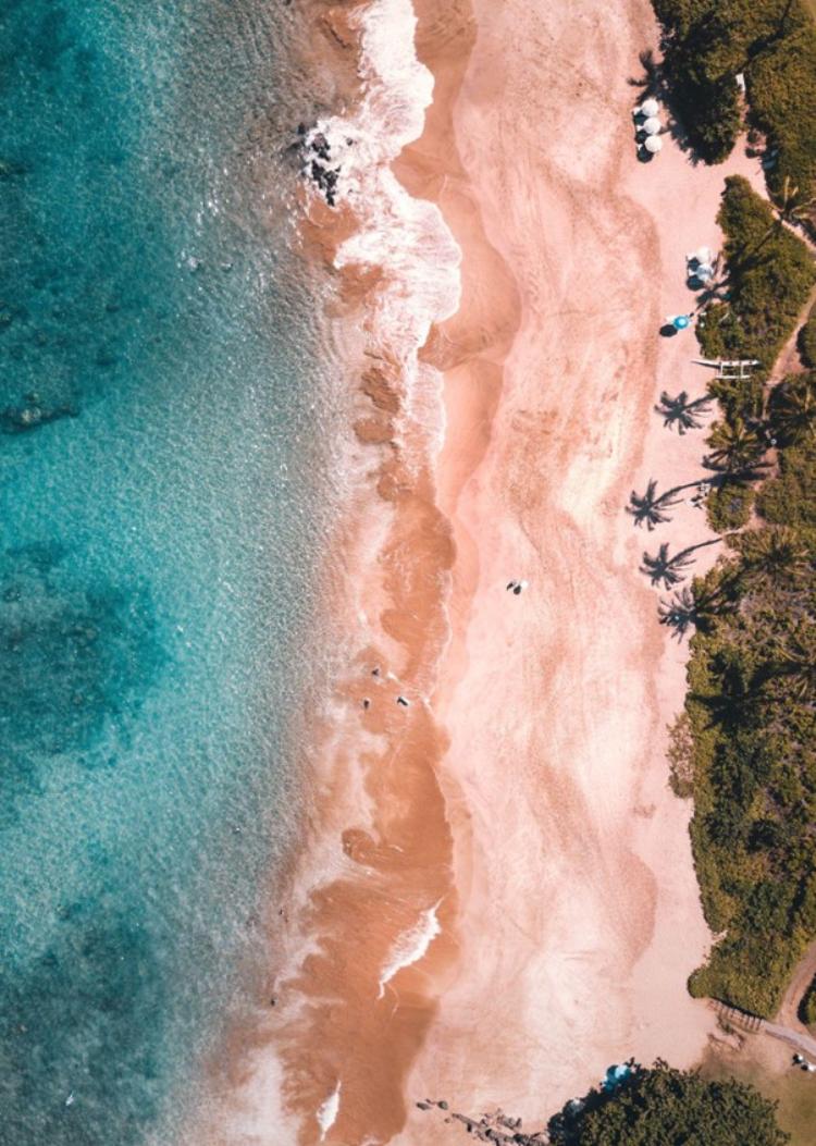 The crystal-clear waters of Hawaii are second to none. Credit: Logan Armstrong / Unsplash