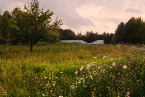 ridge-house-arhitektura-koja-se-povlaci-pred-pejzazom (1).jpg